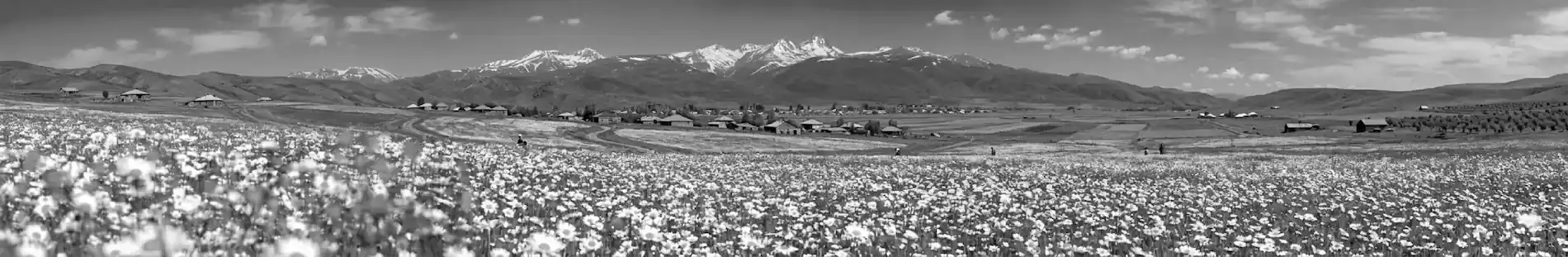 The founders of T Botanico in the Armenian highlands